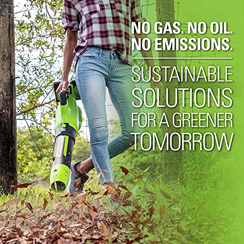 Greenworks 48V (2 x 24V) Brushless Cordless Axial Blower (140 MPH / 585 CFM), (2) 4.0Ah USB Batteries (USB Hub) and Dual Port Rapid Charger Included)