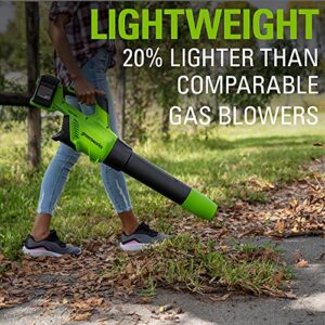 Greenworks 48V (2 x 24V) Brushless Cordless Axial Blower (140 MPH / 585 CFM), (2) 4.0Ah USB Batteries (USB Hub) and Dual Port Rapid Charger Included)