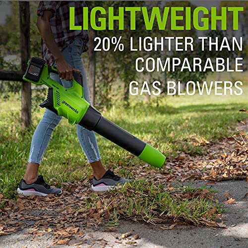 Greenworks 48V (2 x 24V) Brushless Cordless Axial Blower (140 MPH / 585 CFM), (2) 4.0Ah USB Batteries (USB Hub) and Dual Port Rapid Charger Included)