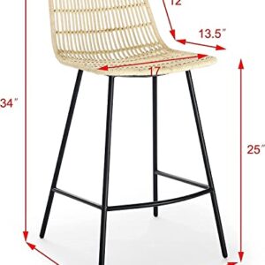 ECLYL Natural Rattan Counter Stool 25" Counter Height Bar Stools Rattan Bar Stools Indoor Stools Rattan Counter Stools Set of 2 Black Finish Steel Legs Woven Bar Stool 17.5" Wx20 Dx34 H (Natural)