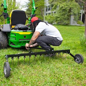 Brinly DT-480BH-A 48" Tow Behind Grass Dethatcher, Removes Thatch from Large Lawns in Less Time
