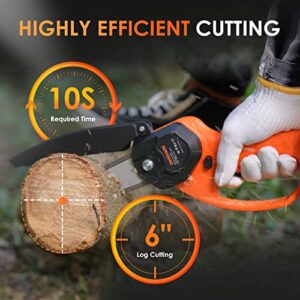 Cordless Mini Chainsaw, DINSHARE 6 Inch 20V Small Chainsaw with 2Pcs 2000mAh Batteries and Charger, Safety Lock, Lightweight One-Hand Handheld Chainsaw for Gardening Tree Branch Trimming Wood Cutting