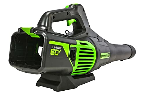 Greenworks PRO 170 MPH 700 CFM 60V Battery Cordless Handheld Leaf Blower (Tool Only), (BL60L02)