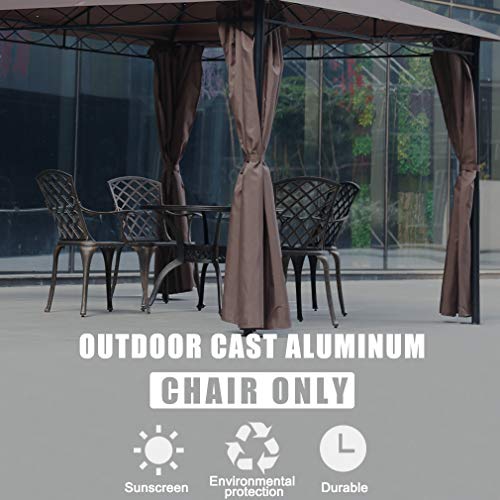 FDW Patio Chairs Dining Chairs Set of 2 Outdoor Chair Wrought Iron Patio Furniture Patio Furniture Chat Set Weather Resistant