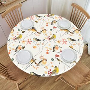 elastic edged round bird fitted table cloth cover, home decorative tablecloth for indoor outdoor kitchen party, fits 40″ – 44″ tables, small