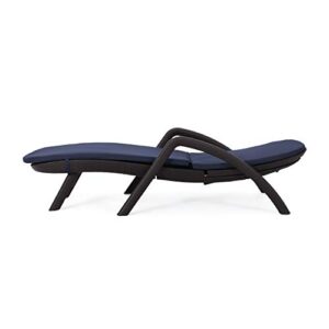 christopher knight home chaise lounge set, dark brown + navy blue