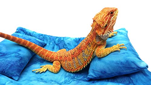 Chaise Lounge for Bearded Dragons, Blue Heaven Batik Fabric