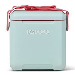 igloo mist 11 qt tag along too strapped picnic style cooler