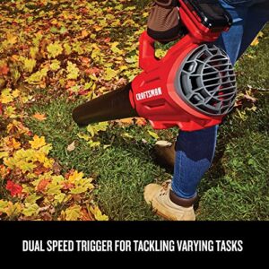 CRAFTSMAN 20V MAX WEEDWACKER String Trimmer and Leaf Blower Combo Kit, Battery and Charger Included (CMCK197M1 )