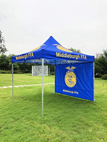 NaBai Canopy Pop Up Tent for Tradeshow 10 x 10 feet, Advertising Gazebos with Your Logo (10x10 top Canopy+one Full Wall+13kgs Aluminum Alloy Frame)