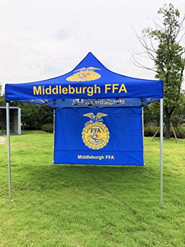 NaBai Canopy Pop Up Tent for Tradeshow 10 x 10 feet, Advertising Gazebos with Your Logo (10x10 top Canopy+one Full Wall+13kgs Aluminum Alloy Frame)