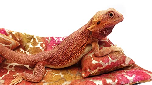 Chaise Lounge for Bearded Dragons, Tie Dye Golden Splash Fabric