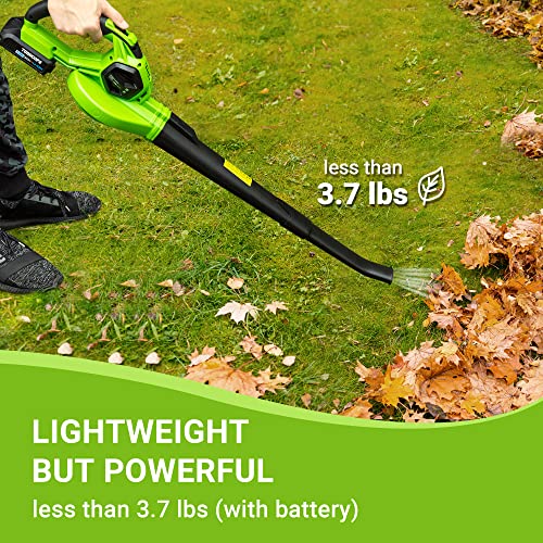 TODOCOPE 20V Cordless Leaf Blower with Battery and Charger, Electric Leaf Blower Vacuum, Battery Leaf Blower Cordless for Lawn, Variable Speed, Lightweight, Quick Charge, Green, (TDC-CB20)