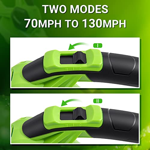 TODOCOPE 20V Cordless Leaf Blower with Battery and Charger, Electric Leaf Blower Vacuum, Battery Leaf Blower Cordless for Lawn, Variable Speed, Lightweight, Quick Charge, Green, (TDC-CB20)