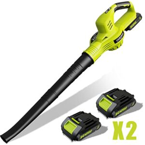 lazyboi cordless leaf blower with 2 batteries