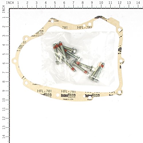 Briggs & Stratton 594195 Briggs and Stratton Crankcase Gasket, Grey