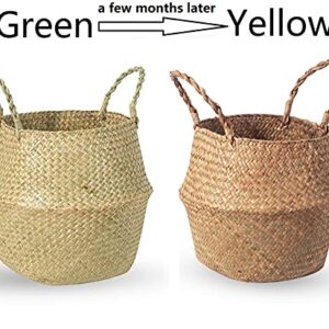 BrilliantJo Seagrass Belly Basket, Set of 2 Woven Plant Pot Holder handmade Home Decor for Storage Plants Picnic Grocery Medium(10.63 x 9.44 inch)