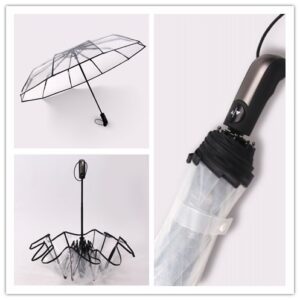 HappyGo Clear Umbrella,10 Ribs More Wind Resistant, Size 47''/120cm 1~2 People Available,Lengthening Handle 10cm,High Strength Fiberglass Ribs,Thick Umbrella Cloth,Auto Open Close, Travel Umbrella