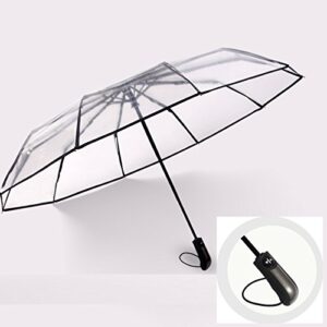 HappyGo Clear Umbrella,10 Ribs More Wind Resistant, Size 47''/120cm 1~2 People Available,Lengthening Handle 10cm,High Strength Fiberglass Ribs,Thick Umbrella Cloth,Auto Open Close, Travel Umbrella