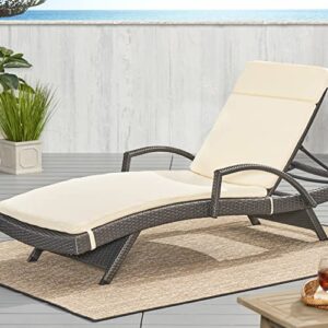 Christopher Knight Home Salem Outdoor Water Resistant Chaise Lounge Cushion, Beige