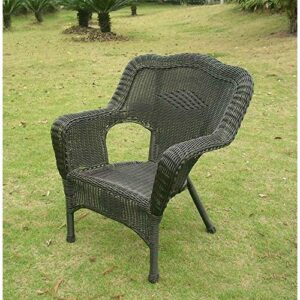 International Caravan Furniture Piece Camelback Resin Wicker Patio Chairs (Set of 2)