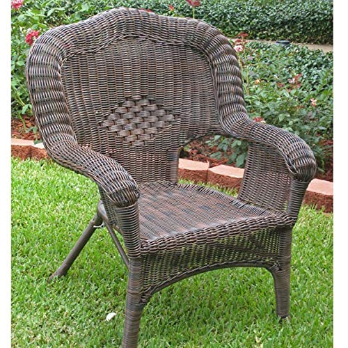 International Caravan Furniture Piece Camelback Resin Wicker Patio Chairs (Set of 2)