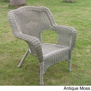 International Caravan Furniture Piece Camelback Resin Wicker Patio Chairs (Set of 2)