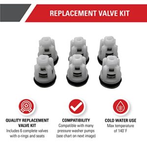Simpson Cleaning 7104223 Replacement Valve Kit for Pressure Washer Pumps, White