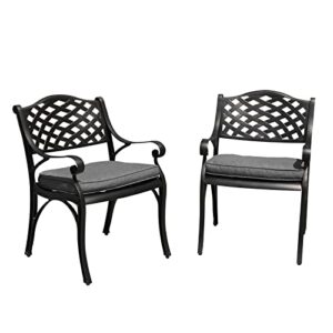 Verano Garden Outdoor Dining Chair Set of 2, Outside Chairs with Arms, All-Weather Cast Aluminum Patio Chair with Cushion, Antique Bronze