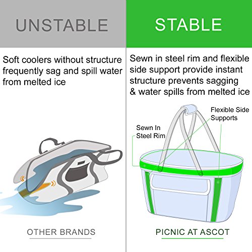 Picnic at Ascot Patented Insulated Folding Picnic Basket Cooler- Designed & Quality Approved in the USA