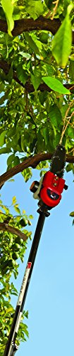 TrimmerPlus Pole Saw Attachment for Compatible Gas Powered Multi-Use Outdoor Equipment, 8-inch saw, 11-foot pole extension (TPP720)
