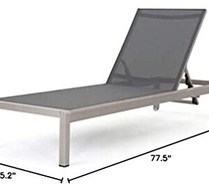 Christopher Knight Home Cape Coral Outdoor Mesh Chaise Lounge, Silver / Dark Grey