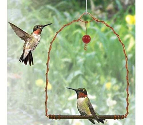 Cartener Copper Hummingbird Swing