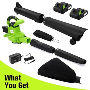 Cordless Leaf Blower, 20V 3 in 1 Electric Leaf Blower with 2 X 2.0Ah Battery & Charger,Adjustable Speed Control Blower,Lightweight Handheld Blower Kit for Leaf,Dust,Little Garbage,Lawn Care