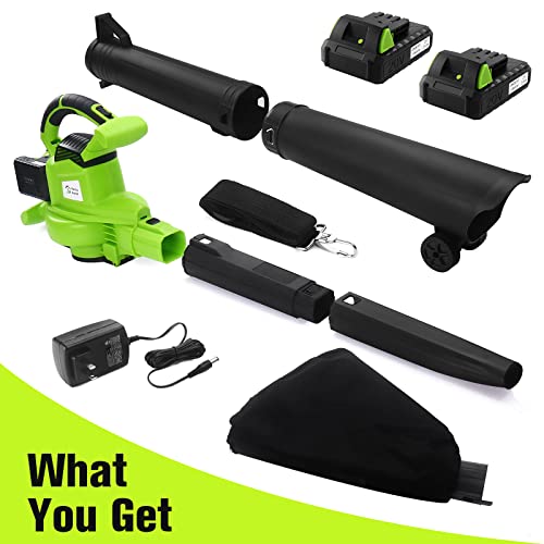 Cordless Leaf Blower, 20V 3 in 1 Electric Leaf Blower with 2 X 2.0Ah Battery & Charger,Adjustable Speed Control Blower,Lightweight Handheld Blower Kit for Leaf,Dust,Little Garbage,Lawn Care