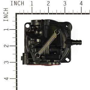 Briggs & Stratton 799584 Carburetor , Black