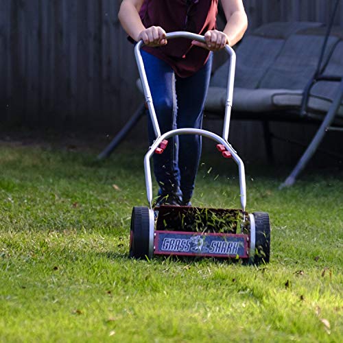 American Lawn Mower Company 101-08 Youth Grass Shark 8-Inch 5-Blade Manual Push Reel Lawn Mower, Red