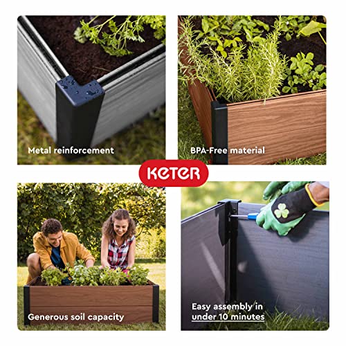 Keter Maple Raised Garden Bed, Durable Outdoor Planter for Vegetables, Flowers, Herbs, and Succulents, Grey