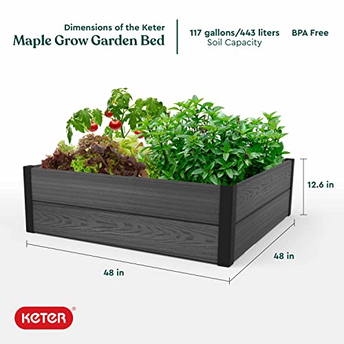 Keter Maple Raised Garden Bed, Durable Outdoor Planter for Vegetables, Flowers, Herbs, and Succulents, Grey