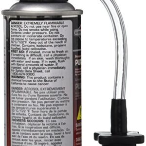 Briggs & Stratton Pressure Washer Pump Saver - 4 Oz. 6039