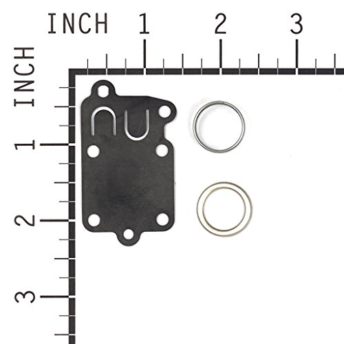 Briggs & Stratton Diaphragm Kit 5021K