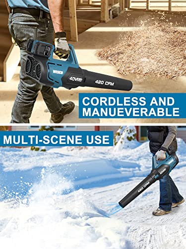 20V Blower Cordless Leaf Blower, 420 CFM 2Pcs 2.0Ah Battery Lightweight Leaf Blower Brushless Snow Blower Handheld Sweeper for Blowing Leaves, Dust, Snow Debris, Yard, Hard to Clean Corner