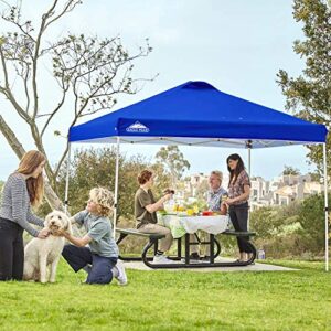 EAGLE PEAK 10x10 Pop Up Canopy Tent Instant Outdoor Canopy Easy Set-up Straight Leg Folding Shelter with 100 Square Feet of Shade, (Blue)