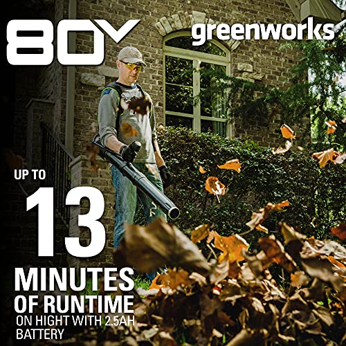 Greenworks Pro 80V (180 MPH / 610 CFM) Cordless Backpack Leaf Blower, 2.5Ah Battery and Charger Included BPB80L2510 & PRO 80V Rapid Charger (Genuine Greenworks Charger)