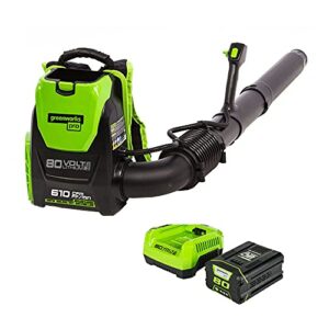 Greenworks Pro 80V (180 MPH / 610 CFM) Cordless Backpack Leaf Blower, 2.5Ah Battery and Charger Included BPB80L2510 & PRO 80V Rapid Charger (Genuine Greenworks Charger)