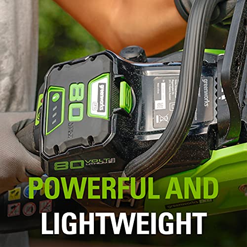 Greenworks Pro 80V (180 MPH / 610 CFM) Cordless Backpack Leaf Blower, 2.5Ah Battery and Charger Included BPB80L2510 & PRO 80V 2.5Ah Lithium-Ion Battery (Genuine Greenworks Battery)