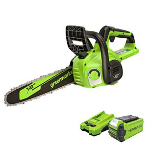 greenworks 40v 12″ chainsaw, 2.0ah battery and charger included (gen 2)