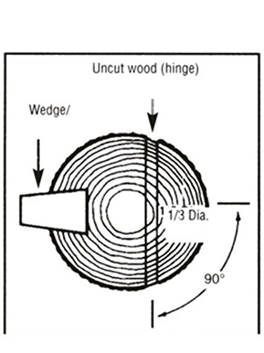 TIPU Felling Wedge for Safe Tree Cutting, 4 Pack: 8"(2-Pack)/5.5"(2-Pack), Tree Felling Wedge to Guide Trees Stabilize and Safely to Ground for Loggers and Fallers