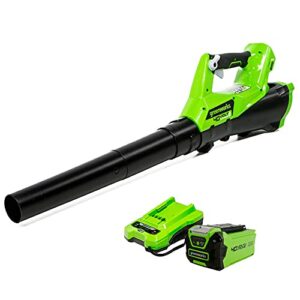 greenworks 40v (110 mph / 390 cfm) cordless axial blower, 2.5ah battery and charger included