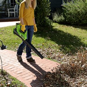 Greenworks 40V (115 MPH / 430 CFM) Brushless Cordless Axial Leaf Blower, 2.0Ah Battery and Charger Included & Greenworks 40V 2.0Ah Lithium-Ion Battery (Genuine Greenworks Battery)